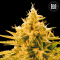 ANANAS FUNK